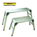 Products Type:FSE04-2